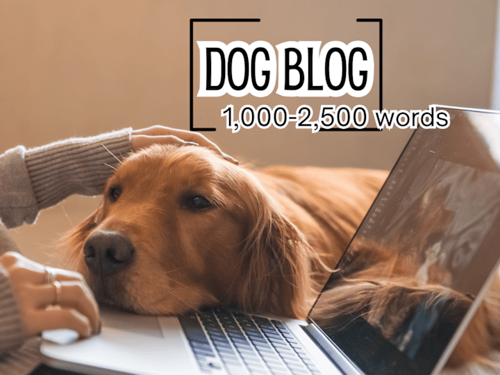 Cover image for 1,000-2,500 word Dog Blog: Topic Deep-dive w/SEO (+3 images!)