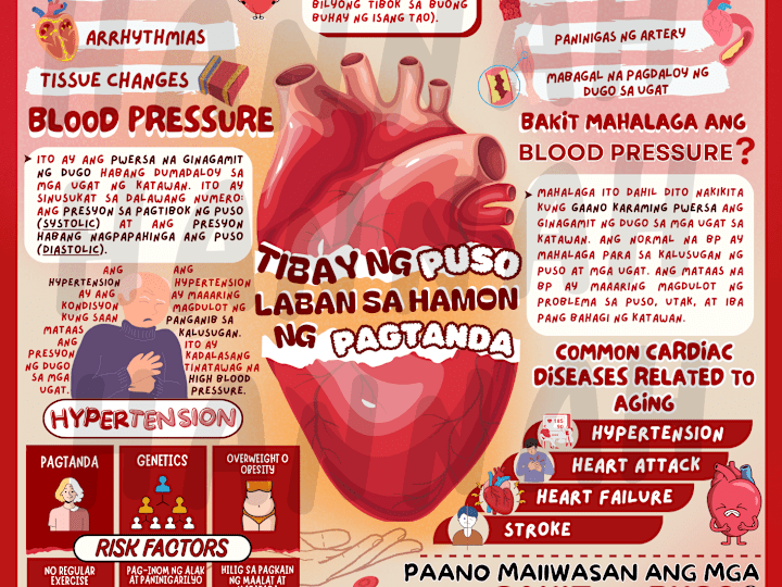 Cover image for Custom Infographic Design: Poster for Educational Content