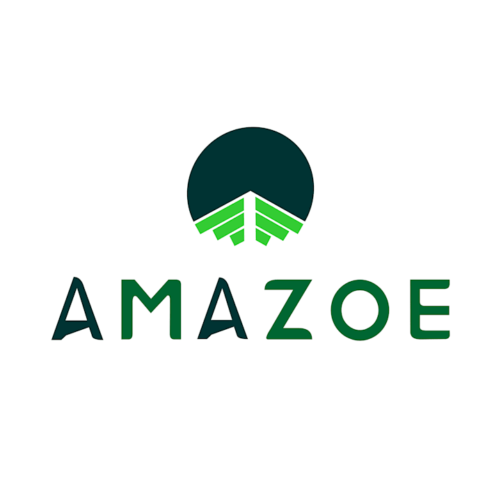 Cover image for Amazoe