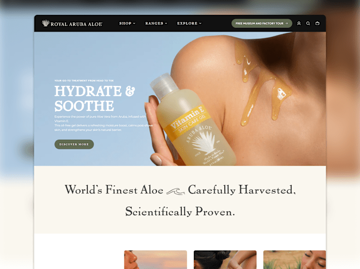 Cover image for Creating 5 custom sections in Instant x Shopify