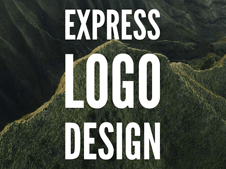 Cover image for Express Logo Suite Design Service