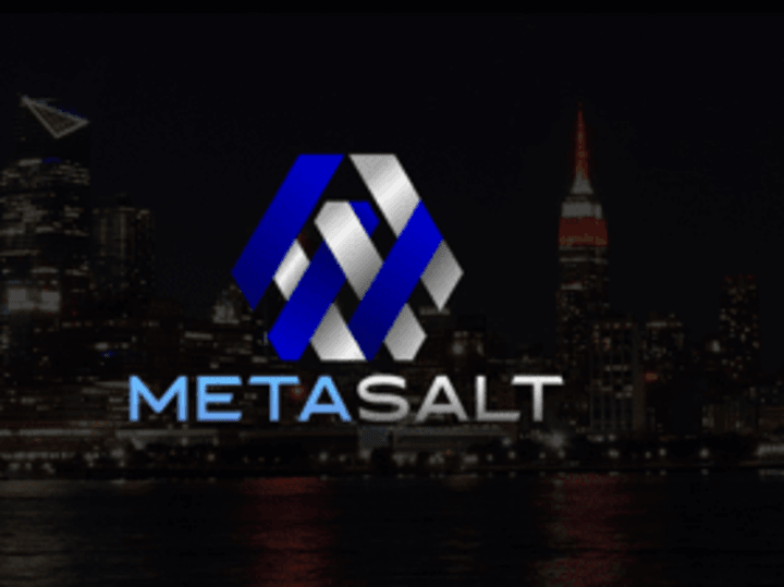 Cover image for METASALT