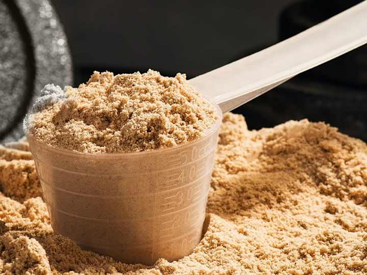 Cover image for Unlock the Power of Plant Protein: A Nutritional Game-Changer