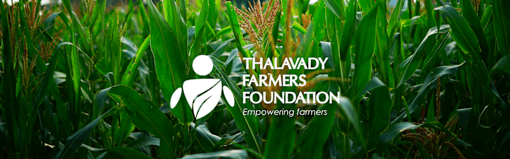 Cover image for Thalavady Farmers Foundation - Branding 