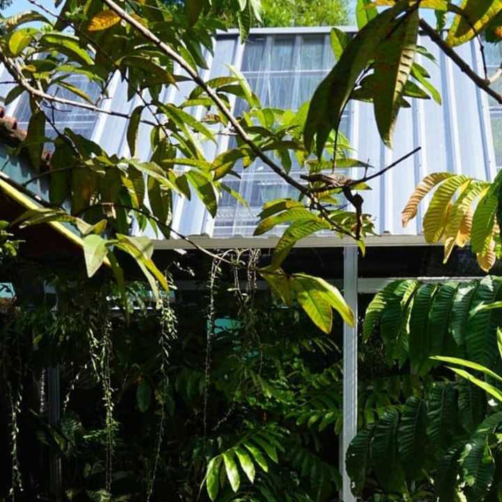 Cover image for Ifah Plant House on Instagram: “Green House adalah sebuah bangu…