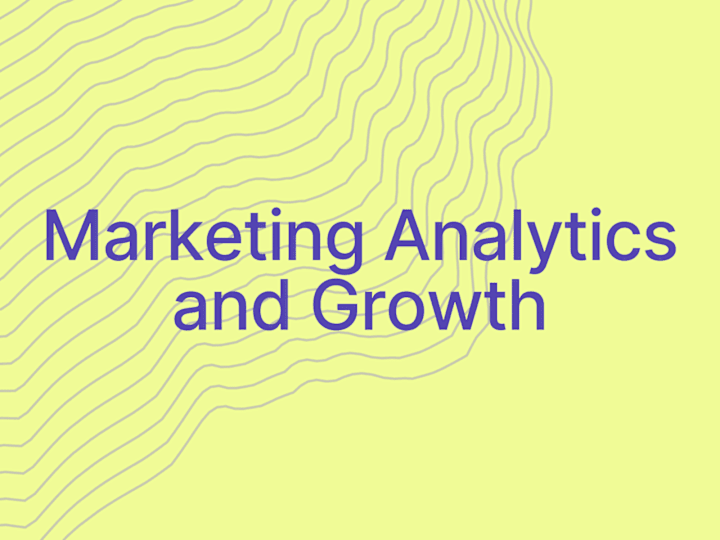 Cover image for Marketing Analytics | Veneziano and Partners