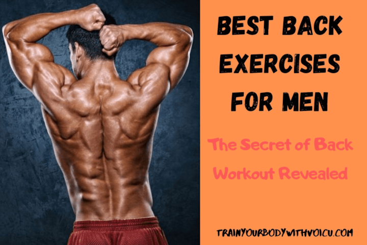Cover image for www.TrainYourBodyWithVoicu.com