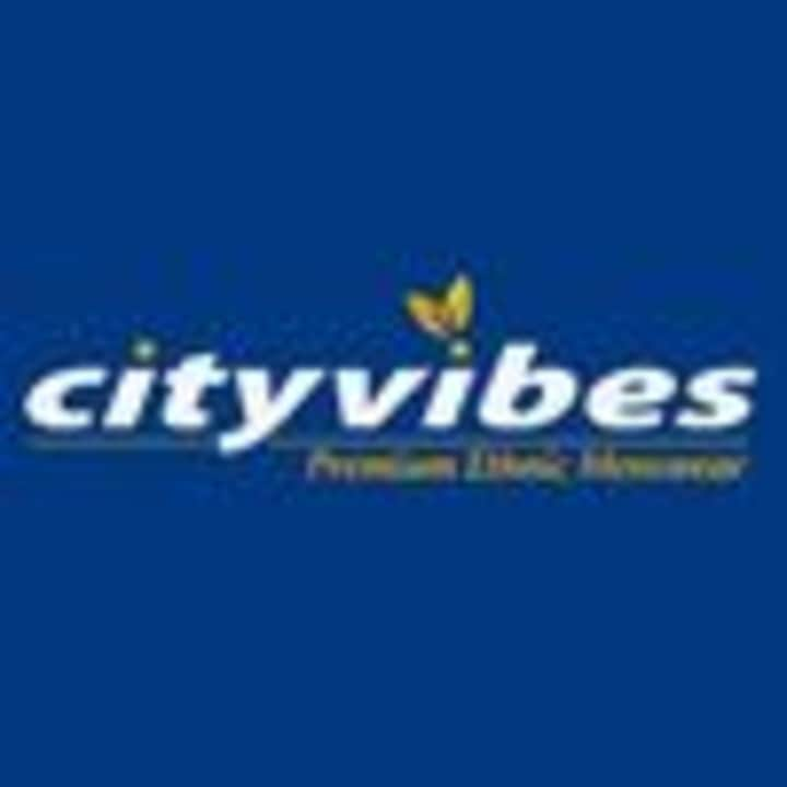 Cover image for CITYVIBES