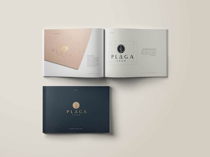 Cover image for Graphic Design and Branding Identity