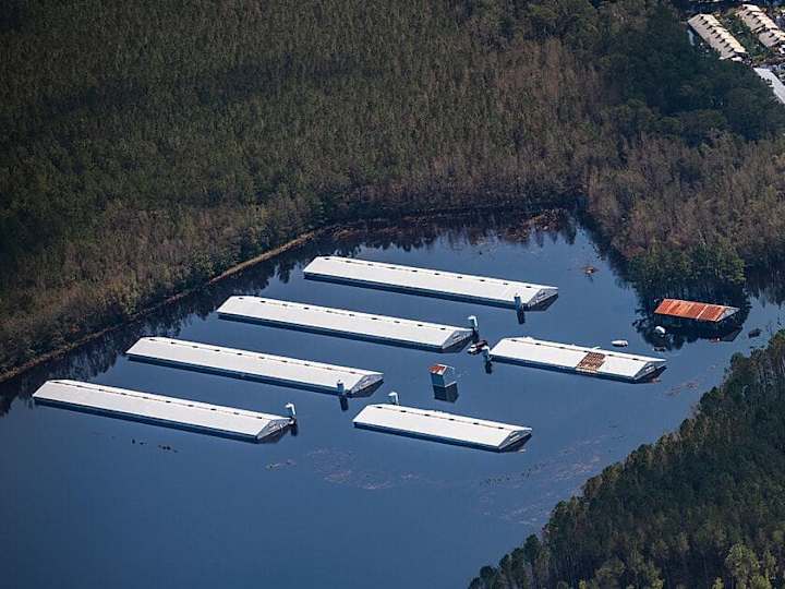 Cover image for 156 North Carolina Factory Farms at Risk for Flooding