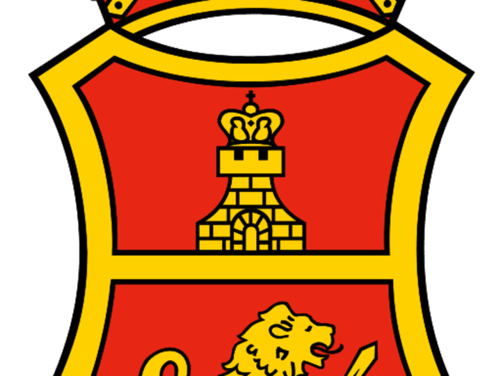 Cover image for San Miguel Corporation
