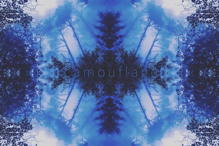 Cover image for Camouflage