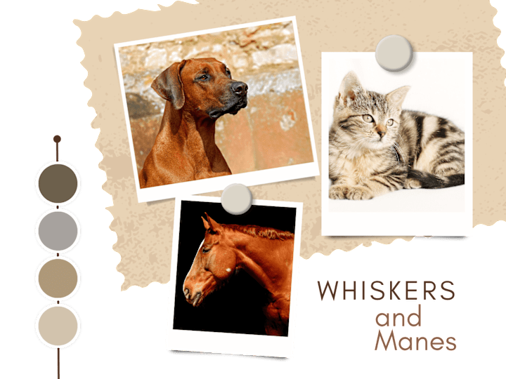 Cover image for Whiskers and Manes on Facebook