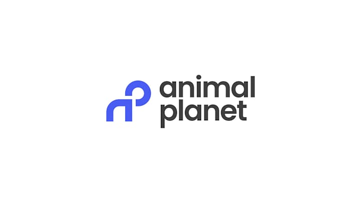 Cover image for Modernizing Animal Planet’s Visual Identity for a New Era