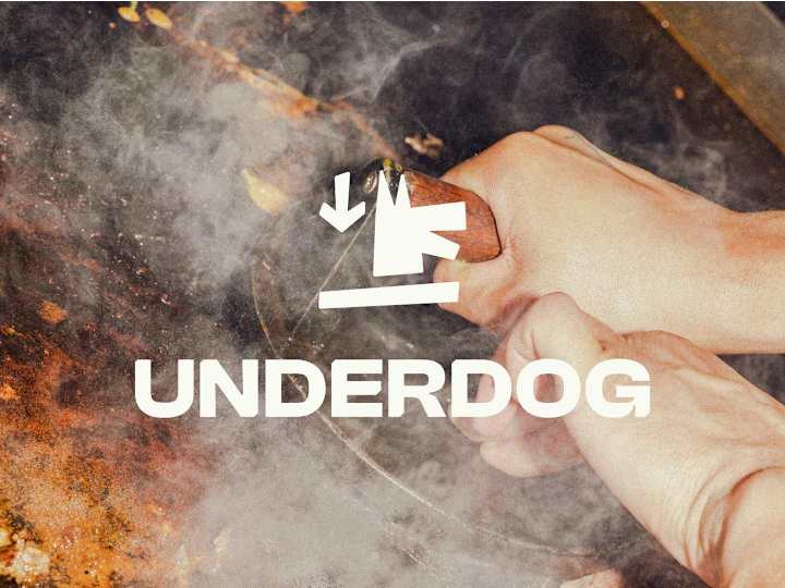 Cover image for Underdog | Brand Identity Design