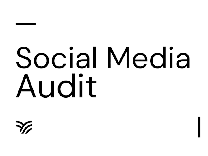 Cover image for I will Review Your Social Media Presence: Platform Audit