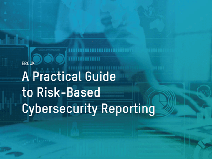 Cover image for A Practical Guide to Risk-Based Reporting
