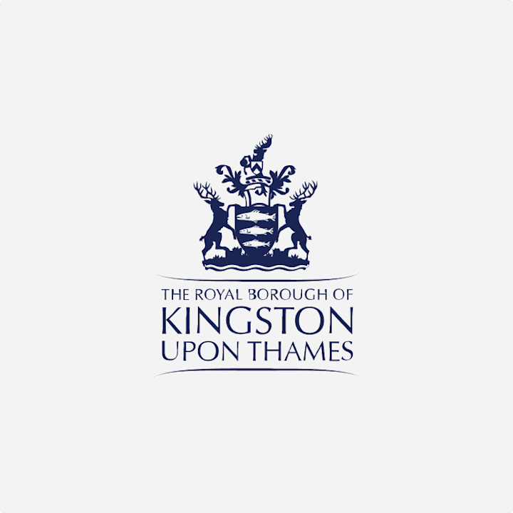 Cover image for Kingston Council