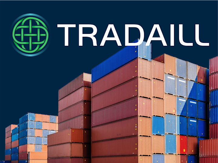 Cover image for Tradaill | Brand Identity & Website Design