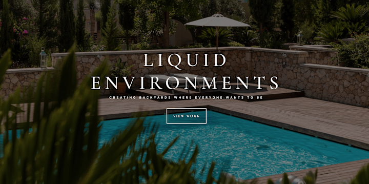 Cover image for Liquid Environments