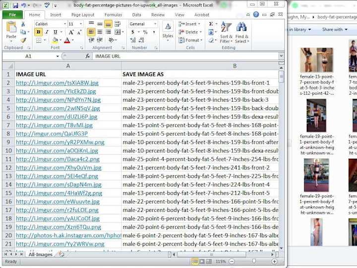 Cover image for Download Images (From List Of URLs) & Name Them