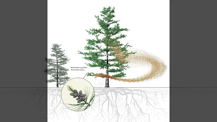 Cover image for Bayard Cutting Arboretum Tree Science Loop