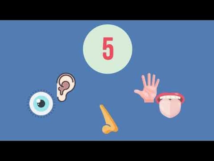 Cover image for 2D Animation Video Sample - YouTube