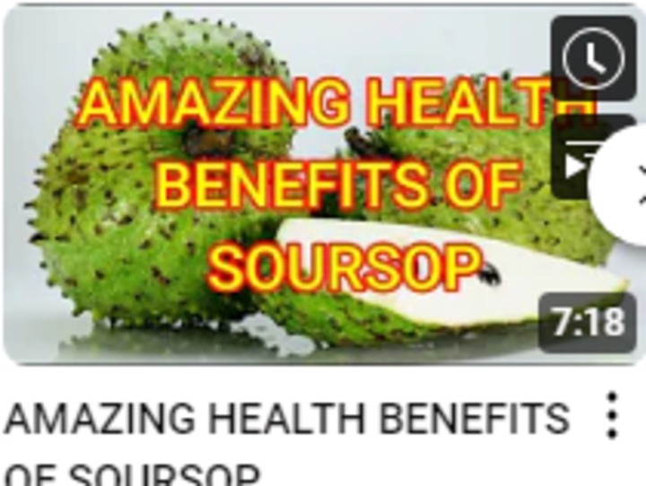 Cover image for AMAZING HEALTH BENEFITS OF SOURSOP - YouTube