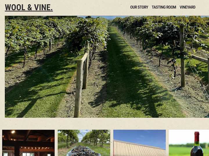 Cover image for Wool & Vine