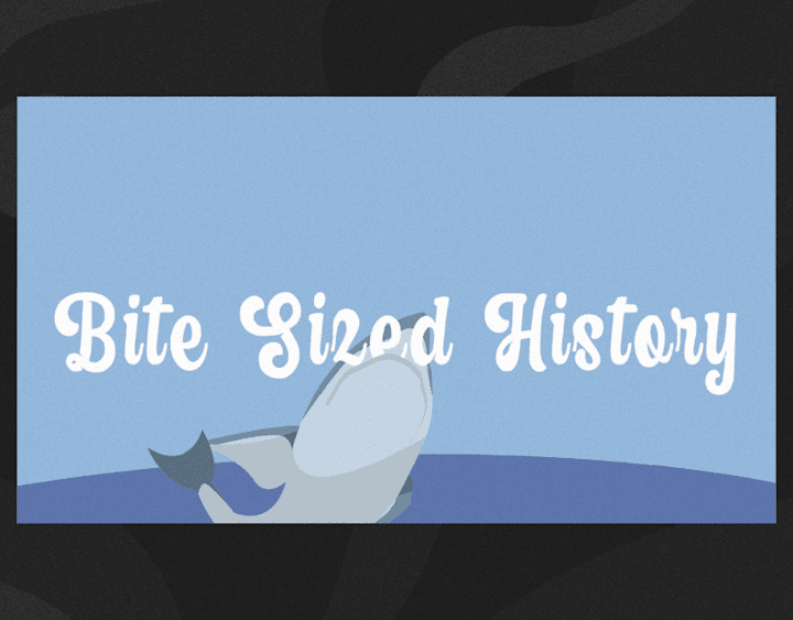 Cover image for Bite Sized History