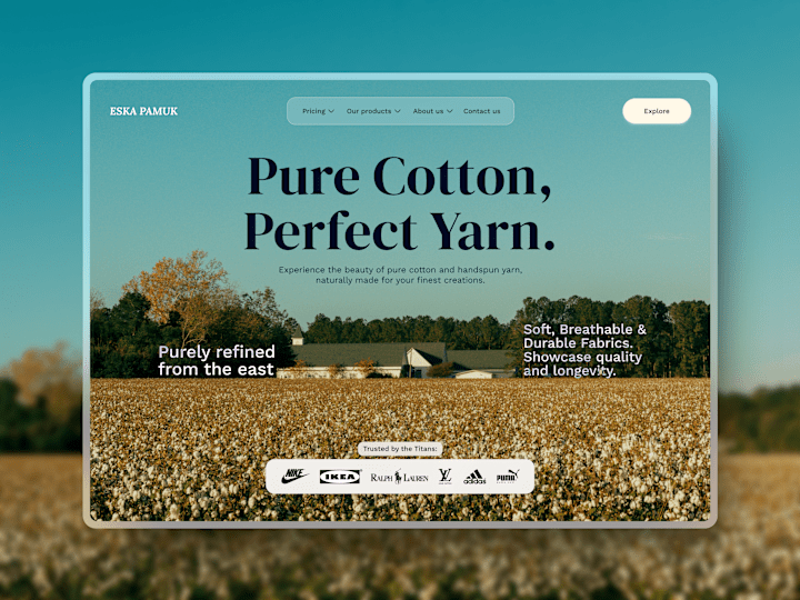 Cover image for Website - Cotton and Yarn