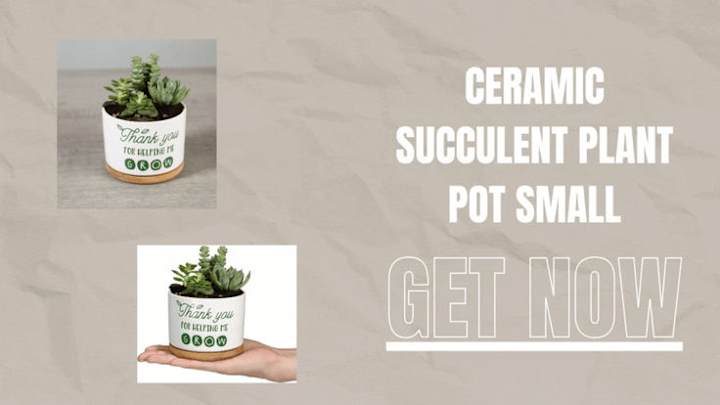 Cover image for Teachers Appreciation Gift, Ceramic Succulent Plant Pot Small F…
