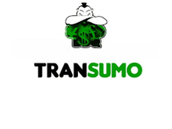 Cover image for Digital Nomad Writer for Transumo