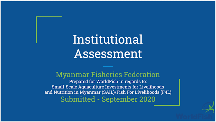 Cover image for Institutional Assessment