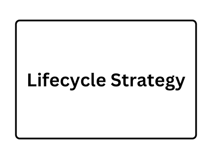 Cover image for Lifecycle Strategy