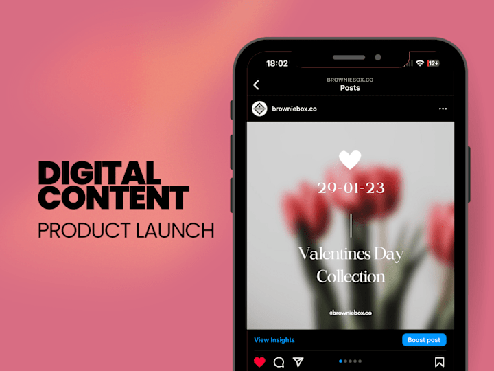 Cover image for Valentine's Day Product Launch