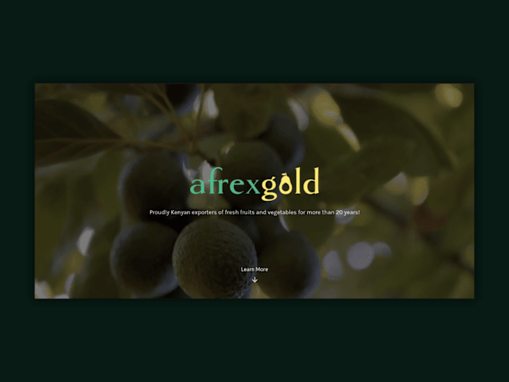 Cover image for Afrex Gold Limited