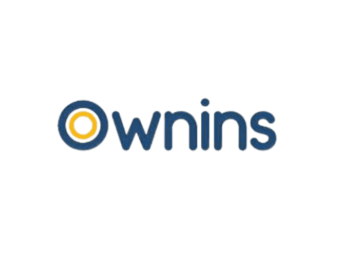 Cover image for Ownins Store Setup