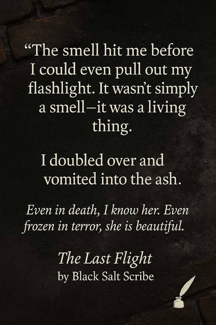 Cover image for The Last Flight | TL;DR Contest Entry