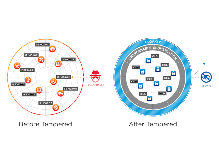 Cover image for Tempered Networks Infographics for Site Launch