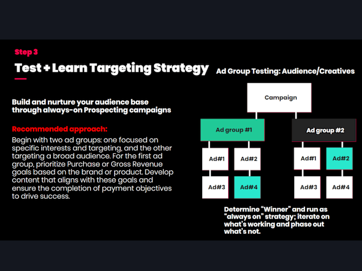 Cover image for TikTok Ads Test, Learn, and Targeting Strategy