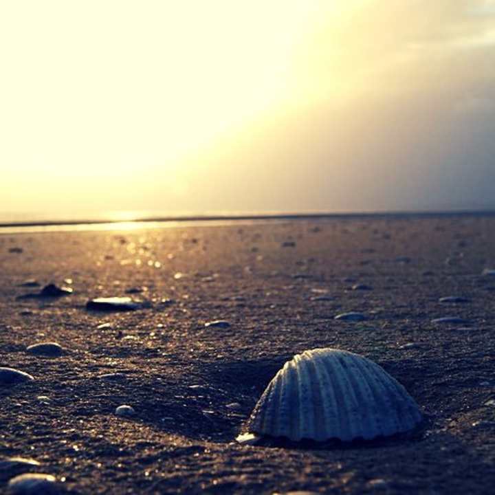 Cover image for Shirfine - Illusionary Daytime (Andrew Campbell Remix)