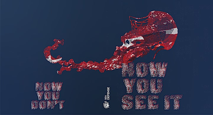 Cover image for Book ‘Now You See It‘