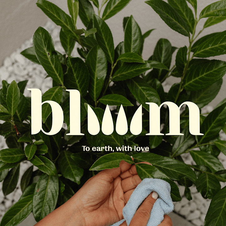Cover image for bloooom | Branding and Packaging