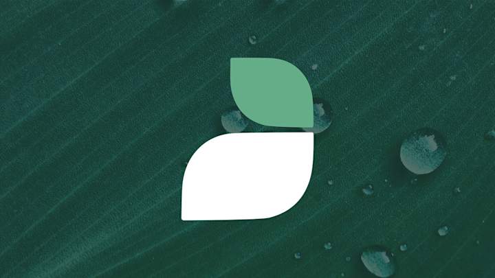 Cover image for Brand Identity Design | Aayuvedic | Health Products on Behance