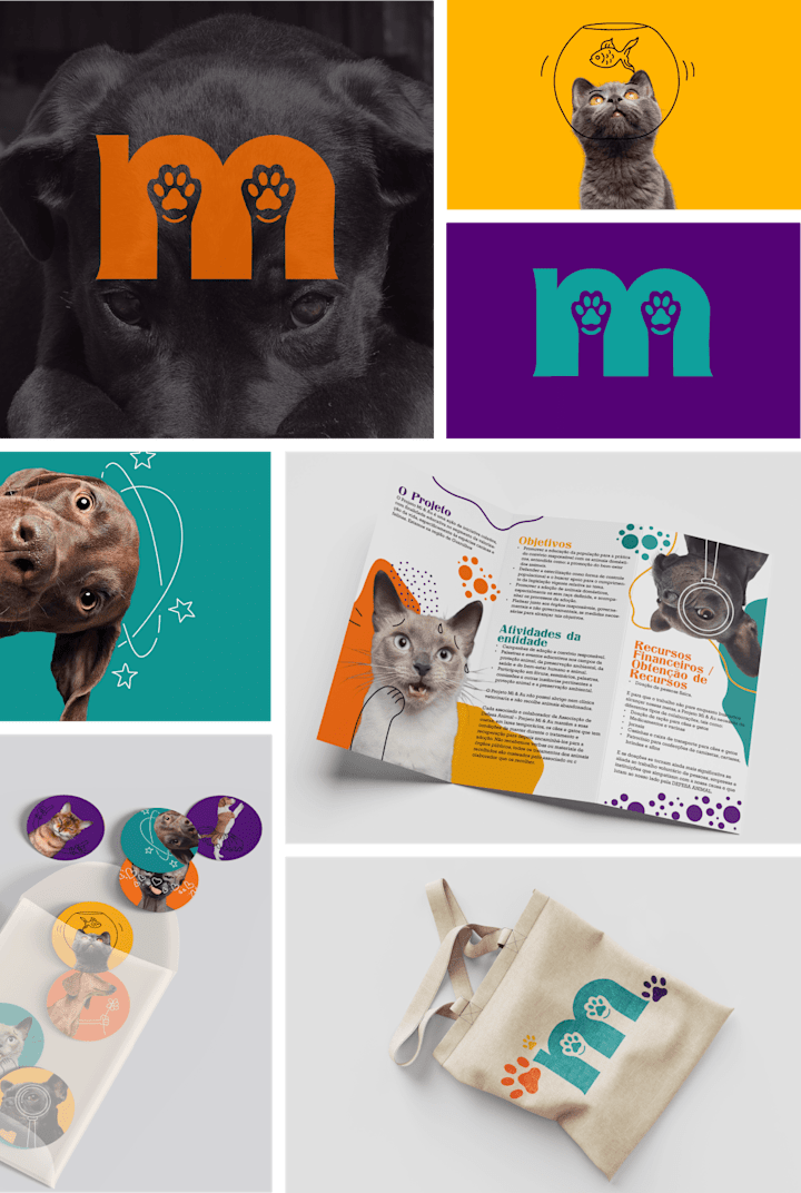 Cover image for Visual identity - Projeto Mi Au (fictitious)