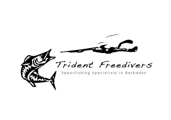 Cover image for Trident Freedivers