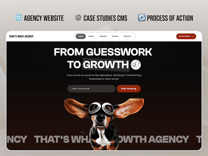 Cover image for ThatsWhatAgency Website Design & CMS Setup