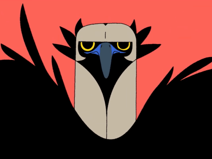 Cover image for Birds Records Case Film - YouTube