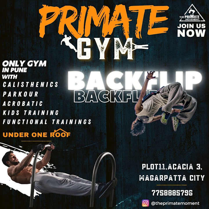 Cover image for Instagram Reels For @theprimatemovement